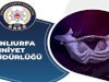 Bursa'da Aranıyordu! Şanlıurfa'da Yakalandı