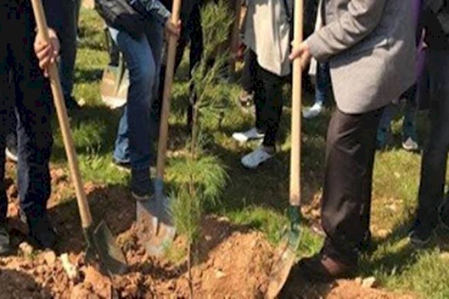 5 milyon 2023 fidan toprakla buluşturulacak!