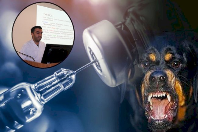 Uzmanından Kuduz Hastalığı Konusunda Uyarı!