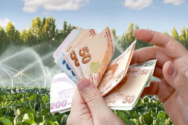 Destekleme Ödemesi Hesaplara Aktarılıyor!