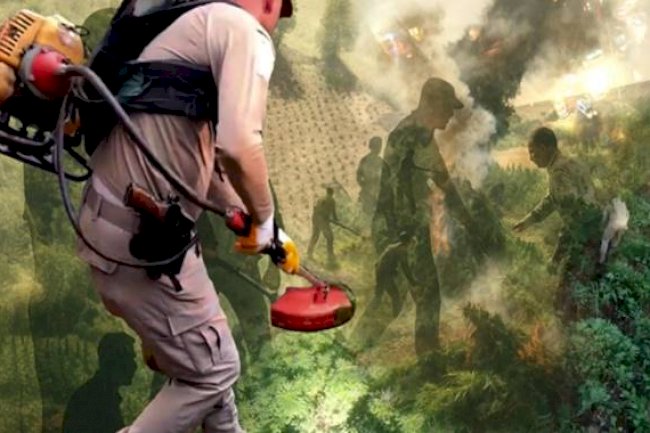 Dev Operasyon: 70 Ton Toz Esrara Eşdeğer Kenevir Ele Geçirildi