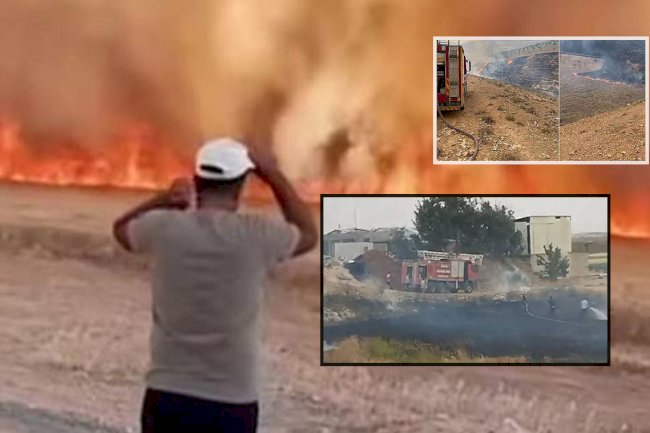 Şanlıurfa'da Son 24 Saatte 92 Yangın Vakası: 4'ü Orman Yangını