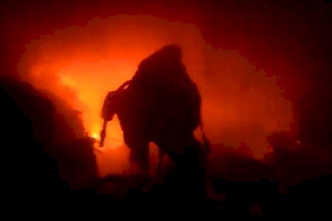 Urfa'da Korkutan Yangın: Ev ve Ahır Küle Döndü, Büyükbaş Hayvanlar Telef Oldu