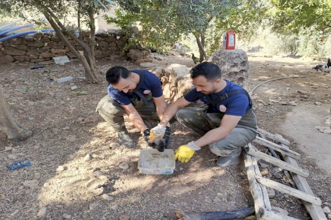 Karaköprü'de Foseptik Çukuruna Düşen Boncuk Kurtarıldı