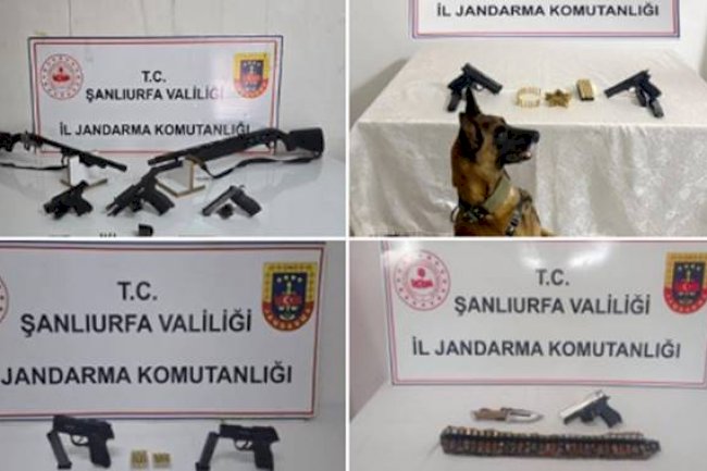 Şanlıurfa'da Jandarmadan Silah Kaçakçılığına Darbe: 8 Gözaltı