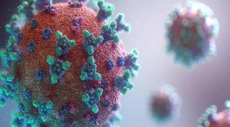 Koronavirüsün yeni varyantı Türkiye’de görüldü