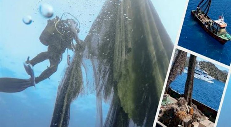 2 milyon 750 bin sucul canlının ölmesi engellendi