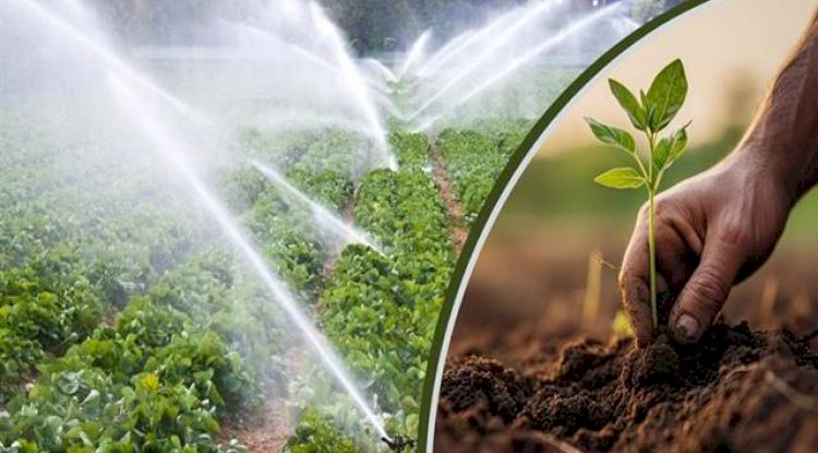 Tarımsal destekleme ödemesi bugün hesaplara aktarılıyor