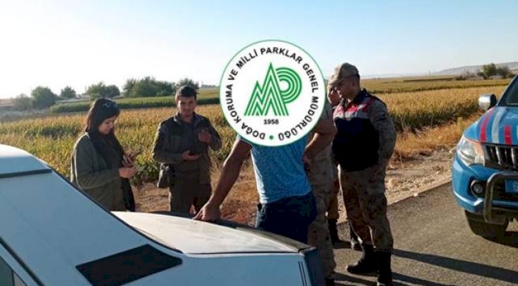 Urfa'da kaçak avcılara ceza yağdı! 