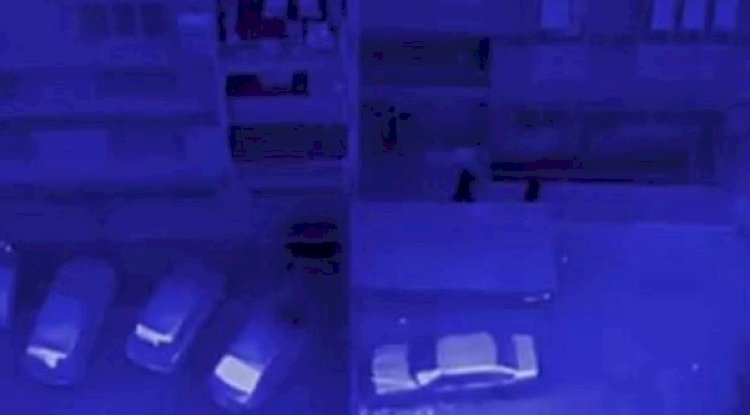 Urfa'da dahil 14 ilde operasyon! 67 gözaltı