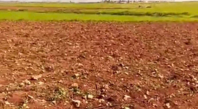 Hilvan'da şiddetli dolu çiftçiyi vurdu: Zarar büyük!