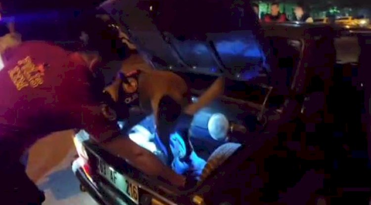 Urfa'da 'Narkotik Alan Denetimi' uygulaması yapıldı! 310 personel katıldı