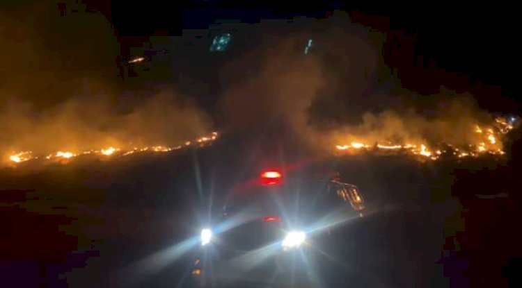 Şanlıurfa’da orman yangını! Çok sayıda ekip sevk edildi 