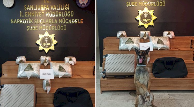Şanlıurfa'da kilolarca uyuşturucu ele geçirildi! 