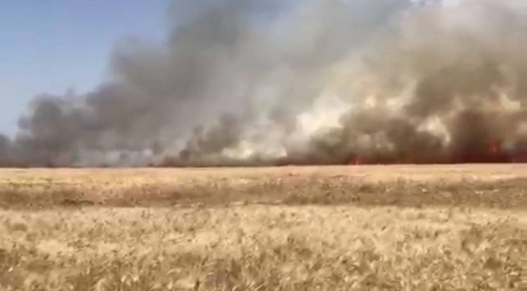 Hilvan'da Ekili Arazide Çıkan Yangın Büyük Zarara Neden Oldu!