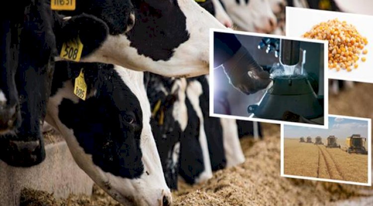 88 Milyon Liralık Destekleme Ödemesi Çiftçilerin Hesaplarına Aktarıldı