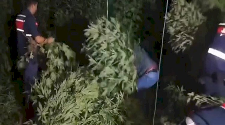 Zehir Tacirlerine Yönelik Dev Operasyon! 83 Gözaltı 