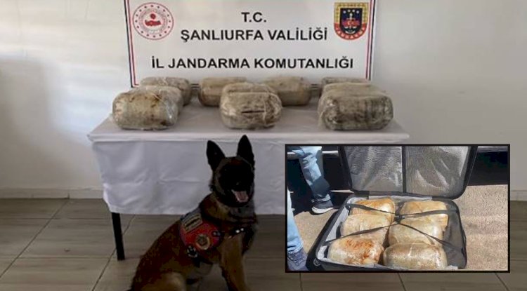 Şanlıurfa'ya Uyuşturucu Sevkiyatı Yapan Şahıs Yakalandı! 
