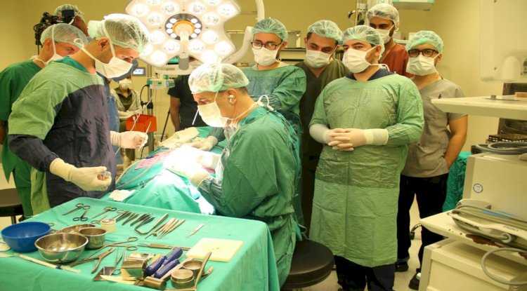 Harran Tıp'ta Kulak Burun Boğaz Uzmanları Bir Araya Geldi