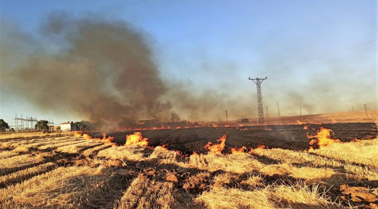 Anız Yangını Nedeni İle Şanlıurfa'da 16 Mahalle Elektriksiz Kaldı