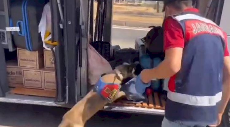 Şanlıurfa'nın 4 İlçesinde Dev Operasyon! Gözaltılar Var