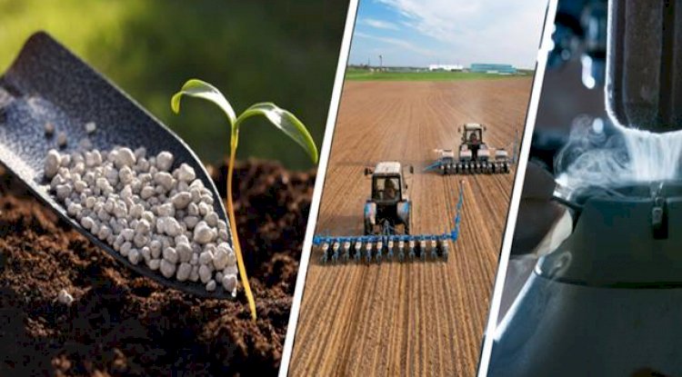 Destekleme Ödemesi Hesaplara Aktarılıyor