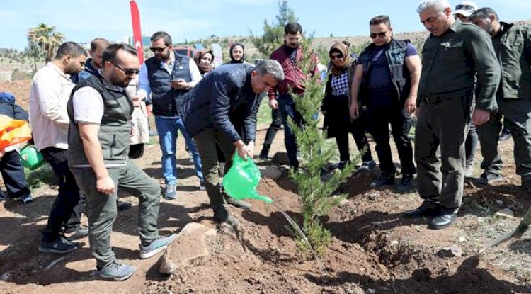 AK Parti İl Teşkilatı Fidan Dikimi Gerçekleştirdi