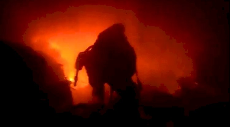 Urfa'da Korkutan Yangın: Ev ve Ahır Küle Döndü, Büyükbaş Hayvanlar Telef Oldu