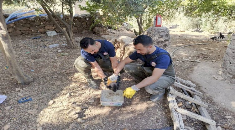 Karaköprü'de Foseptik Çukuruna Düşen Boncuk Kurtarıldı