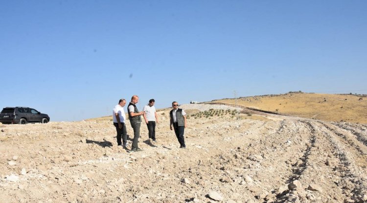 Şanlıurfa'ya 63 Bin Fidan: Yeni Ormanlık Alanlar Geliyor