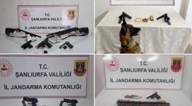Şanlıurfa'da Jandarmadan Silah Kaçakçılığına Darbe: 8 Gözaltı