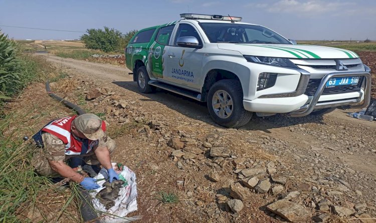 Hilvan’da jandarma ekipleri tarafından araziye atılmış vaziyette bulundu