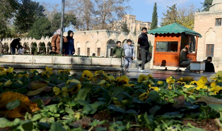 Rengarenk çiçekler Şanlıurfa sokaklarını süsleyecek