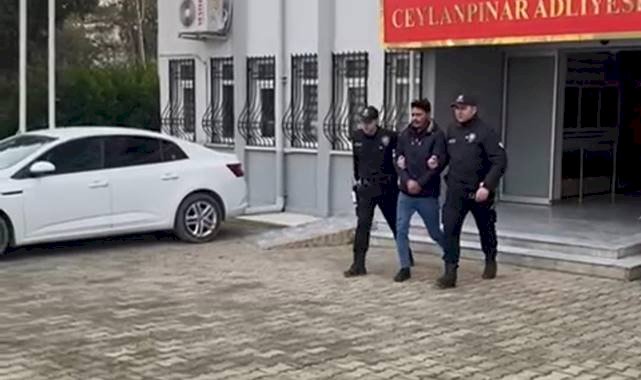 Aranan firari şahıs Ceylanpınar'da yakalandı