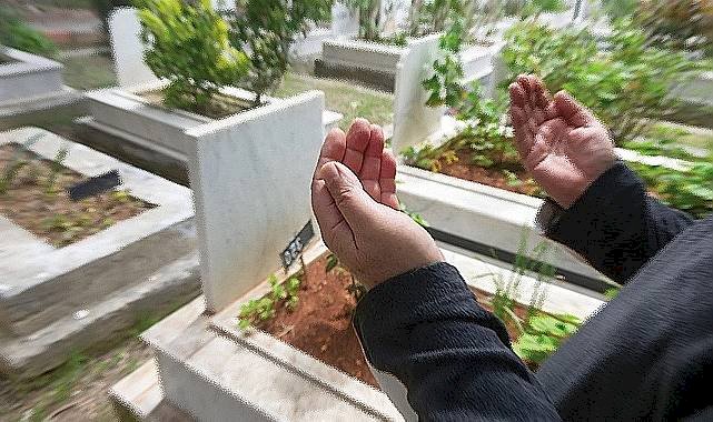 Şanlıurfa'da 7 kişi hayatını kaybetti