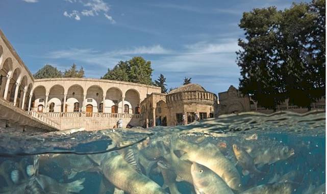 Yerli Ve Yabancı Turistlerin Akın Ettiği Balıklıgöl'de Yasaklar Başladı