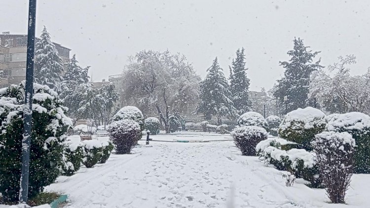 Meteoroloji Açıkladı! Şanlıurfa’ya Kar Yağışı Geliyor 