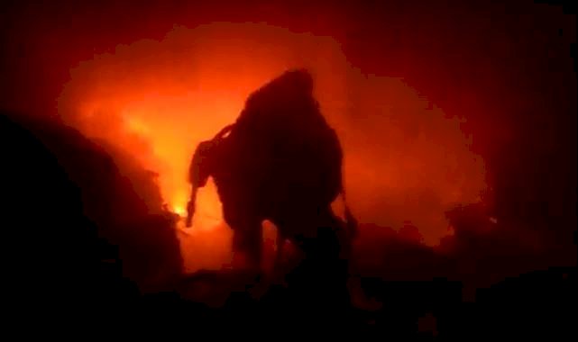 Urfa'da Korkutan Yangın: Ev ve Ahır Küle Döndü, Büyükbaş Hayvanlar Telef Oldu