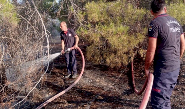 Urfa'da Orman Yangını Korkuttu!