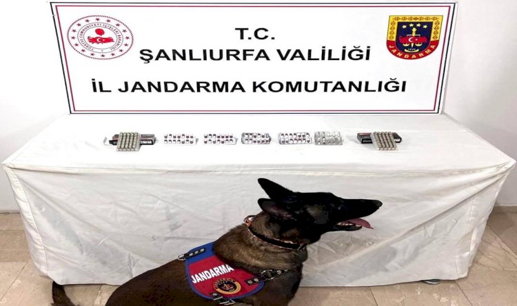 Şanlıurfa'da 60 Sentetik Hap ve 100 Fişek Ele Geçirildi