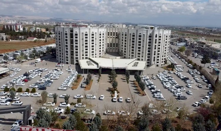 Şanlıurfa Eğitim ve Araştırma Hastanesi'nde Zona Ağrısına Etkin Tedavi