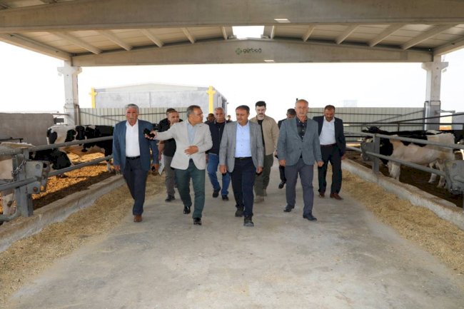 Vali Şıldak Gıda ve Besi OSB'yi ziyaret etti