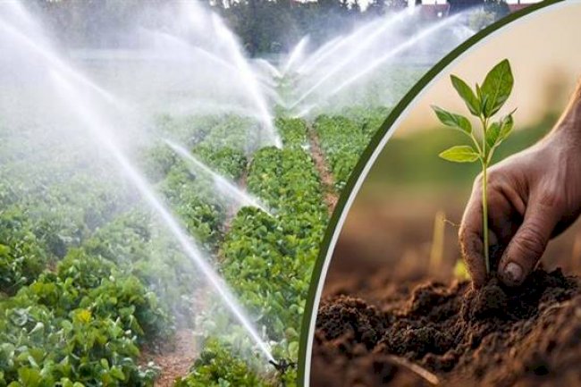Tarımsal destekleme ödemesi bugün hesaplara aktarılıyor