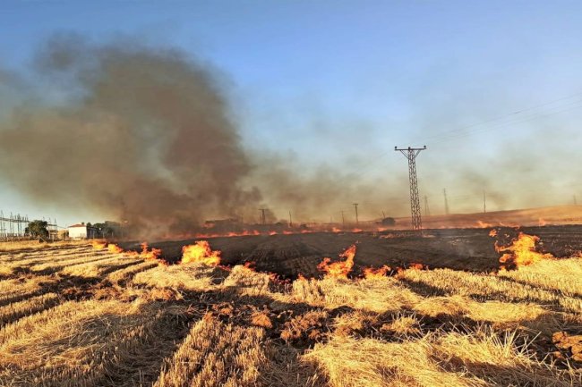Anız Yangını Nedeni İle Şanlıurfa'da 16 Mahalle Elektriksiz Kaldı