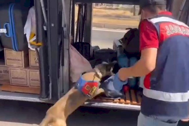 Şanlıurfa'nın 4 İlçesinde Dev Operasyon! Gözaltılar Var