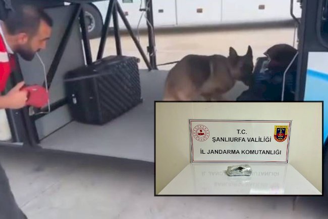 Urfa'da Durdurulan Otobüste Ele Geçirilen Madde Şaşırttı! 1 Gözaltı 