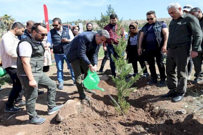 AK Parti İl Teşkilatı Fidan Dikimi Gerçekleştirdi