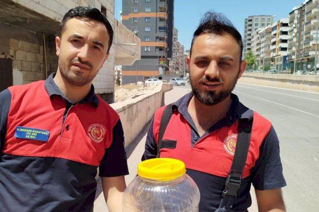 Urfa'da Bir Evde Korkutan Yılan Paniği!