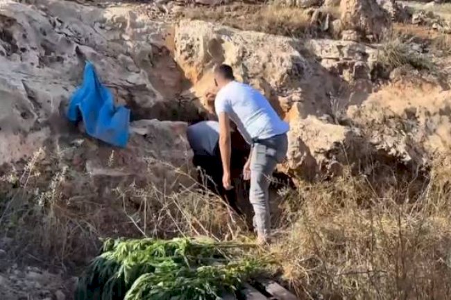 Şanlıurfa'da Uyuşturucu Operasyonu!
