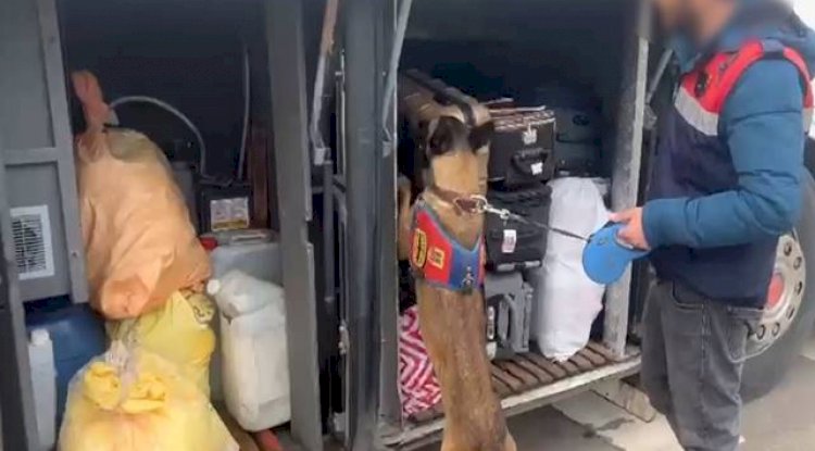 Viranşehir, Hilvan ve Suruç’ta şok uygulama! 3 gözaltı